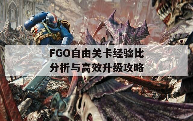 FGO自由关卡经验比分析与高效升级攻略