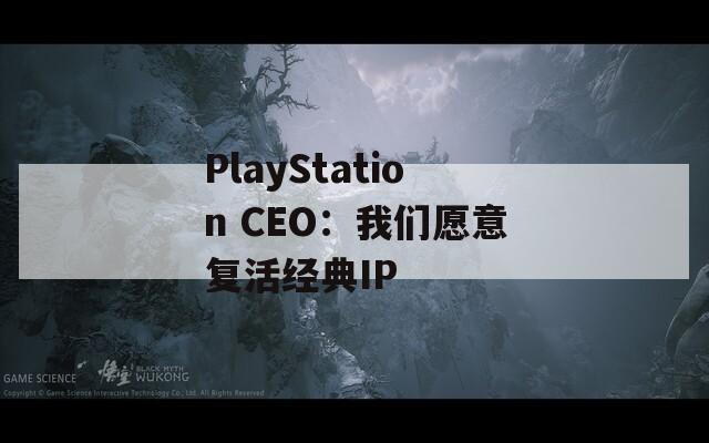 PlayStation CEO：我们愿意复活经典IP