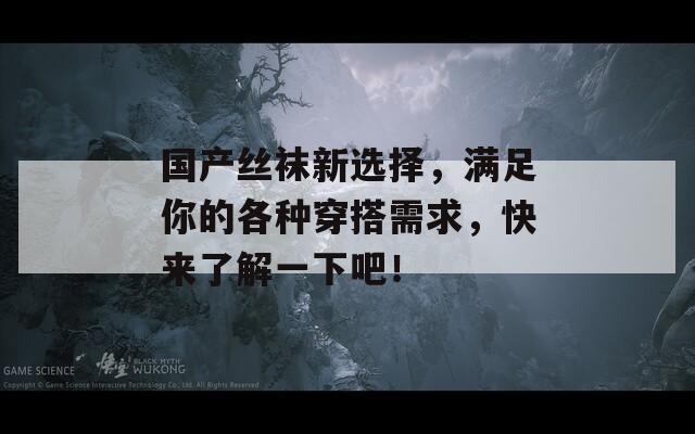 国产丝袜新选择，满足你的各种穿搭需求，快来了解一下吧！