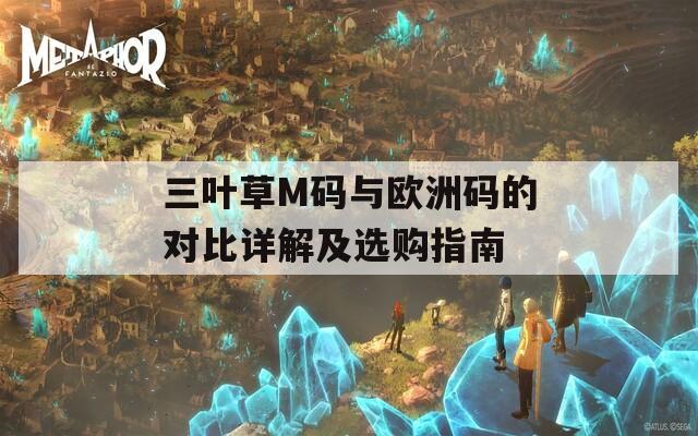 三叶草M码与欧洲码的对比详解及选购指南