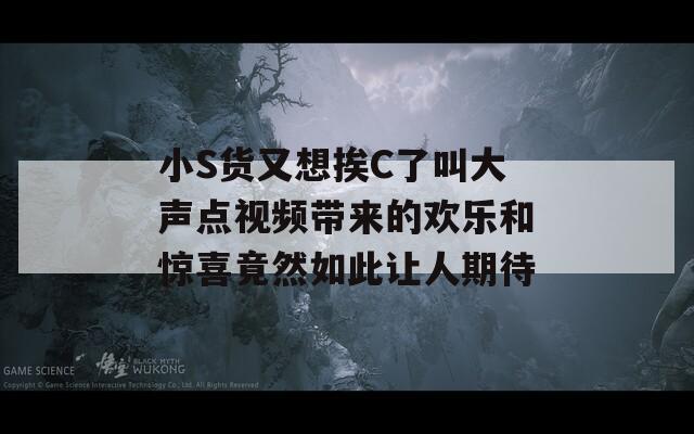 小S货又想挨C了叫大声点视频带来的欢乐和惊喜竟然如此让人期待