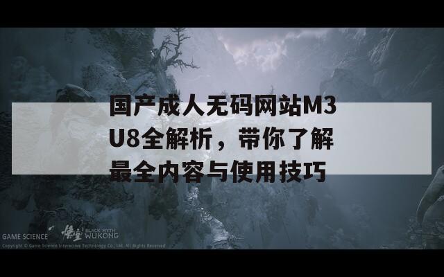 国产成人无码网站M3U8全解析，带你了解最全内容与使用技巧