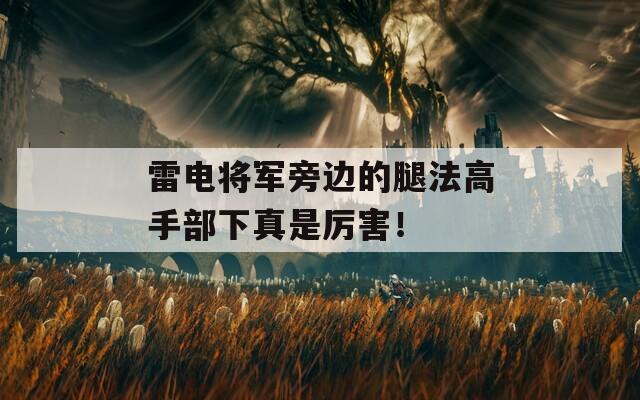 雷电将军旁边的腿法高手部下真是厉害！