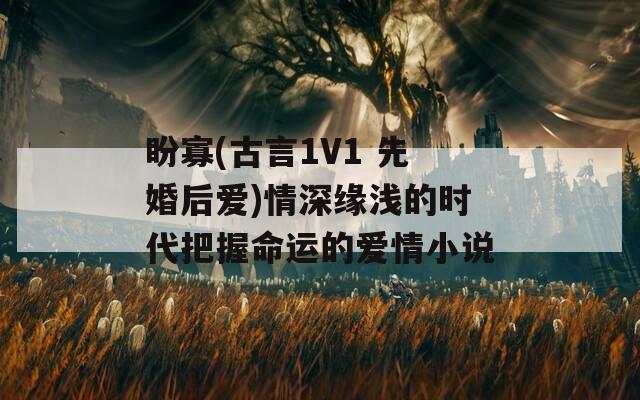 盼寡(古言1V1 先婚后爱)情深缘浅的时代把握命运的爱情小说