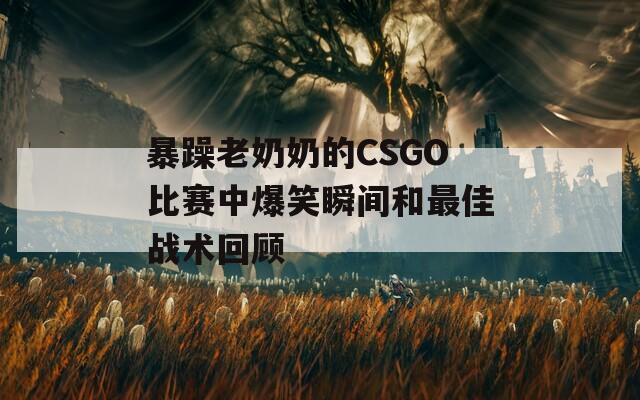 暴躁老奶奶的CSGO比赛中爆笑瞬间和最佳战术回顾