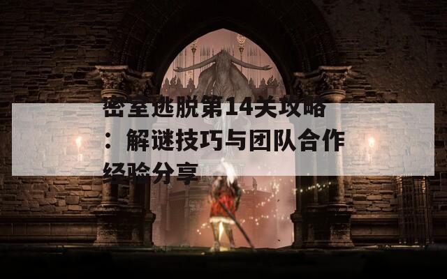 密室逃脱第14关攻略：解谜技巧与团队合作经验分享