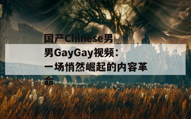 国产Chinese男男GayGay视频：一场悄然崛起的内容革命