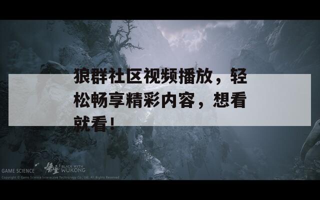 狼群社区视频播放，轻松畅享精彩内容，想看就看！