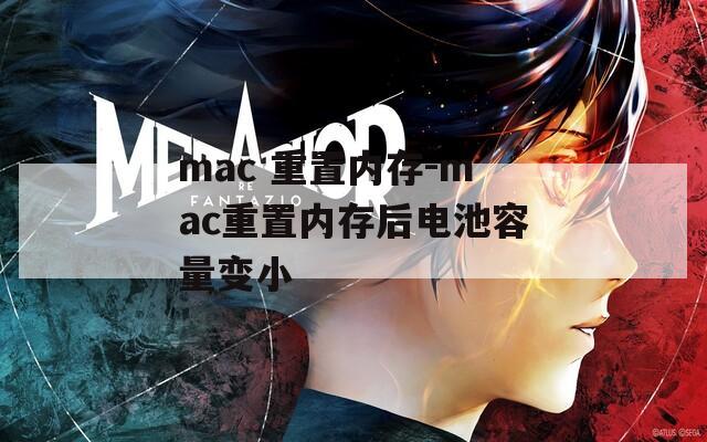 mac 重置内存-mac重置内存后电池容量变小