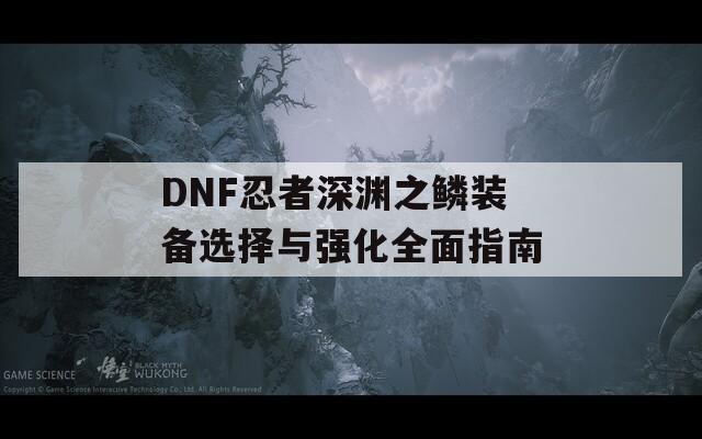 DNF忍者深渊之鳞装备选择与强化全面指南