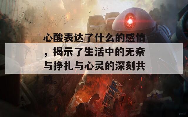 心酸表达了什么的感情，揭示了生活中的无奈与挣扎与心灵的深刻共鸣。