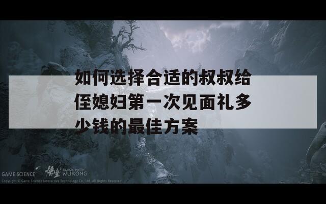 如何选择合适的叔叔给侄媳妇第一次见面礼多少钱的最佳方案