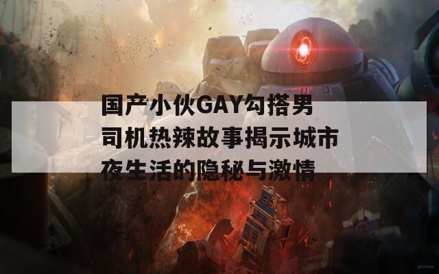 国产小伙GAY勾搭男司机热辣故事揭示城市夜生活的隐秘与激情