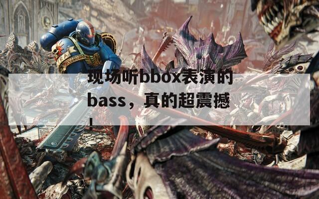 现场听bbox表演的bass，真的超震撼！