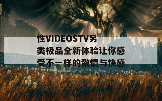 性VIDEOSTV另类极品全新体验让你感受不一样的激情与快感