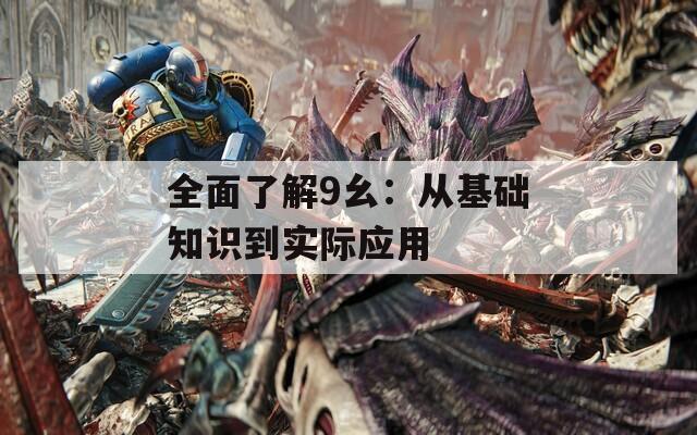 全面了解9幺：从基础知识到实际应用