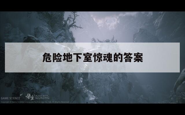 危险地下室惊魂的答案