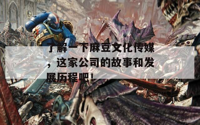了解一下麻豆文化传媒，这家公司的故事和发展历程吧！