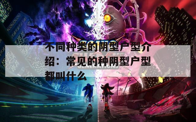 不同种类的阴型户型介绍：常见的种阴型户型都叫什么