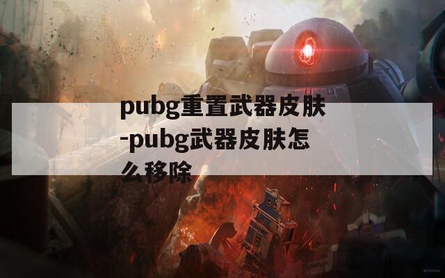 pubg重置武器皮肤-pubg武器皮肤怎么移除