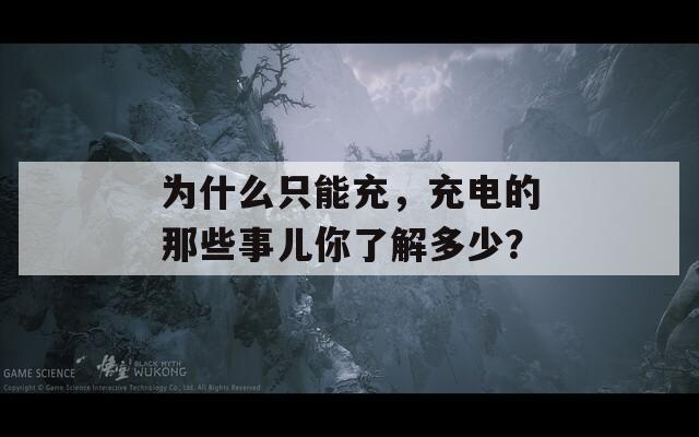 为什么只能充，充电的那些事儿你了解多少？